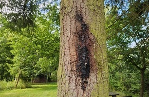 Polizeidirektion Mayen: POL-PDMY: Sachbeschädigung durch Feuer Grillhütte Sankt Johann
