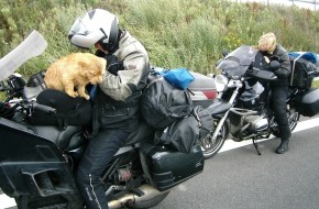 Polizeidirektion Göttingen: POL-GOE: (474/2011) Hunde auf dem Motorrad