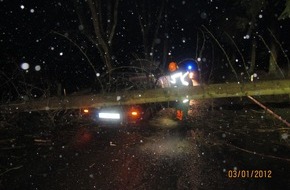 Polizeiinspektion Hameln-Pyrmont/Holzminden: POL-HOL: Leichte Sturmsschäden auch im Landkreis Holzminden: Umgestürzte Bäume - fliegende Mülltonnen und Gartenstühle - aufgeschlagene Autotür - Leichte Sachschäden zu beklagen -