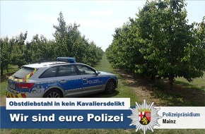 Polizeipräsidium Mainz: POL-PPMZ: Klein-Winternheim - Jugendliche bei Obstdiebstahl erwischt