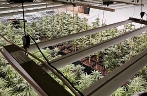 Zollfahndungsamt Hannover: ZOLL-H: Durchsuchungsmaßnahmen wegen des Verdachts des bandenmäßigen Handels mit Betäubungsmitteln und Cannabisprodukten in nicht geringer Menge in der Region Wilhelmshaven/Friesland