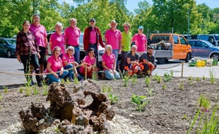 Deutschland summt!-Pflanzwettbewerb: Beste Naturgartenprojekte 2026 ausgezeichnet