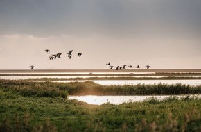 Tourismus-Agentur Schleswig-Holstein GmbH: Tierisch was los am Himmel über Schleswig-Holstein