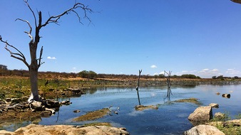 ZDF: "Brasilien - ein Land trocknet aus": "planet e." im ZDF über die Wasserkrise im Olympia-Gastgeberland (FOTO)