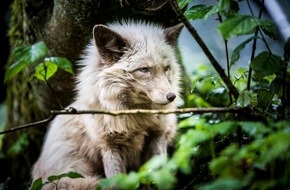 VIER PFOTEN - Stiftung für Tierschutz: Luxusmarke Moncler verzichtet auf Tierpelz
