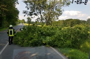 Freiwillige Feuerwehr Breckerfeld: FW-EN: Baum auf Straße