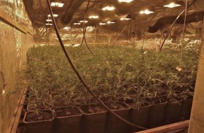 Polizei Rhein-Erft-Kreis: POL-REK: 180201-3: Cannabisplantagen in Hofanlage entdeckt- Polizei stellt zahlreiche Pflanzen sicher- Bergheim
