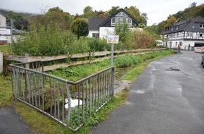 Polizeiinspektion Hameln-Pyrmont/Holzminden: POL-HM: Durch Gewässerverunreinigung: tote Fische im Bachlauf bei Lauenstein