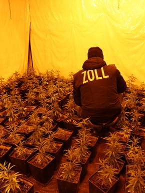 ZOLL-E: ZeOS NRW &amp; Zollfahndung Essen:Schlag gegen mutmaßliche internationale Drogenhändler - Cannabisplantage, ca. 7 kg Betäubungsmittel, 110.000 EUR Bargeld und 5 Waffen sichergestellt - 9 Festnahmen