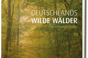 NATIONAL GEOGRAPHIC DEUTSCHLAND: Märchenhafte Wälder, beeindruckende Baumveteranen und urwüchsige Natur (BILD)
