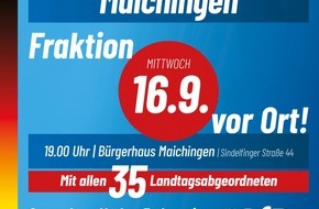 AfD-Fraktion im Landtag von Baden-W&uuml;rttemberg: Einladung zum B&uuml;rgerdialog der AfD-Landtagsfraktion in Maichingen