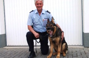 Polizei Rhein-Erft-Kreis: POL-REK: Sein Name ist Cooper, Polizeidiensthund Cooper! - Rhein-Erft-Kreis