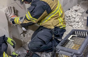 Feuerwehr Essen: FW-E: Katze in Zwangslage - Feuerwehr befreit "Schreihals" nach dreistündigem Einsatz