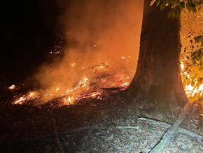 FW-EN: Wetter - Waldbrand und Unterstützung Rettungsdienst