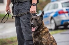 Bundespolizeiinspektion Kassel: BPOL-KS: Gleissperrungen und Polizeieinsatz wegen zurückgelassenem Koffer
