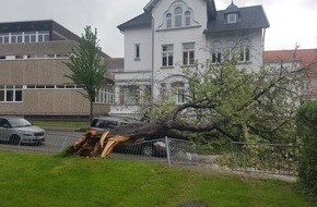 Polizeiinspektion Hameln-Pyrmont/Holzminden: POL-HM: Baum fällt vom Grundstück auf die Straße - PKW und Stahlzaun beschädigt