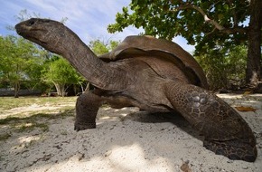 Silhouette Cruises: Kreuzfahrt zum UNESCO-Weltkulturerbe Aldabra / Neue Seychellen-Expedition mit nur 22 Passagieren / Once in a lifetime-Reise