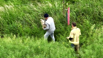 FW-KLE: Geschwächter Hund mit Drohne in Rapsfeld geortet und gerettet