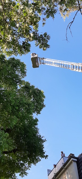 Feuerwehr Wetter (Ruhr): FW-EN: Wetter - Hilfeleistungseinsatz am Samstag