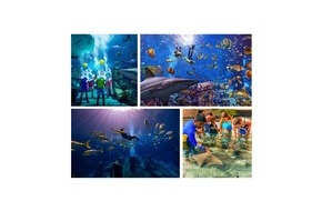 Atlantis, The Palm: „SOMMER DER HAIE“ BEI AQUAVENTURE WORLD