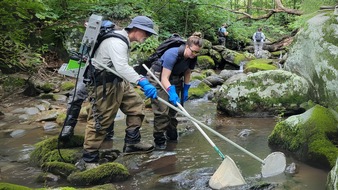 Universität Duisburg-Essen: Klimawandel bedroht Fischvielfalt: Nature-Studie belegt Rückgänge in US-Gewässern