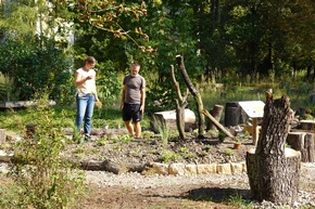 Berliner Friedhof 🪦: Stiftung für Mensch und Umwelt setzt neue Impulse zur Förderung der Biodiversität 🌿 🌼 🐝