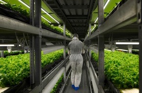 ZDF: Vertikaler Pflanzenanbau: " planet e." im ZDF über Hightech-Farmen (FOTO)