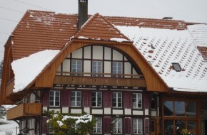 Gebäudehülle Schweiz / Enveloppe des édifices Suisse: Mehr Sicherheit durch Schneehalter / Sicherheit geht vor! Das gilt insbesondere auch im Zusammenhang mit Schnee, der vom Dach abrutschen und so gefährlich werden kann