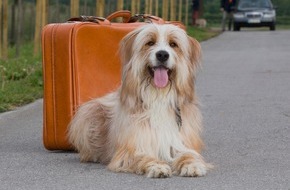 Bundesverband f&uuml;r Tiergesundheit e.V.: Sicher unterwegs: Gut vorbereitet mit dem Hund in den Urlaub