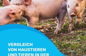 Deutscher Tierschutzbund e.V.: PM - Unterrichtsmaterial zum Tierschutz in der Landwirtschaft