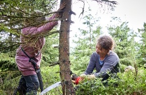 Bergwaldprojekt e.V.: Freiwilliger Einsatz gegen den Borkenkäfer und für den Wald der Zukunft in Rothenkirchen