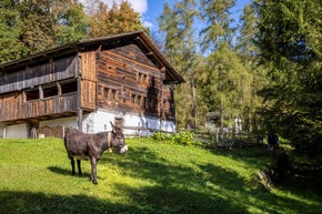 Découvrir la faune au Ballenberg
