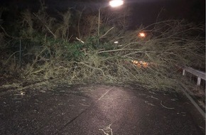 Polizeipräsidium Westpfalz: POL-PPWP: Umgefallener Baum blockiert Fahrbahn und Bahngleise