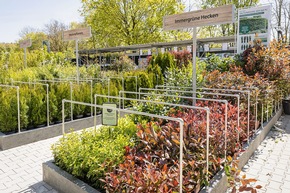 Pressemitteilung: Neuer&ouml;ffnung am 23. April 2026 - Dehner Garten-Center in K&ouml;nigsbrunn