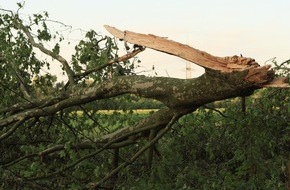 Feuerwehr Bottrop: FW-BOT: Schlussmeldung Unwetter "Zeynep"