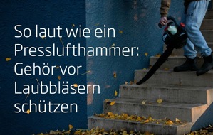 TÜV-Verband e. V.: TÜV-Verband Presseinfo | Gegen das Blättermeer im Herbst: Laubbläser sicher nutzen
