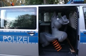 Polizei Bochum: POL-BO: Herne / "Blauer" Esel in Gewahrsam genommen - Tierischer Einsatz in Wanne-Eickel