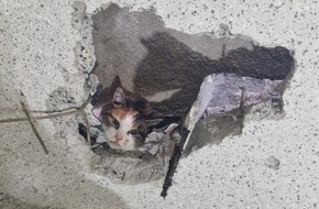 Feuerwehr Moers: FW Moers: Katze in Spalt zwischen Garage und Haus eingeklemmt / Aufwendige Rettungsaktion