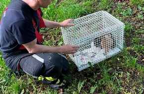 Feuerwehr M&uuml;nchen: FW-M: Ein Herz f&uuml;r Enten (Berg am Laim)