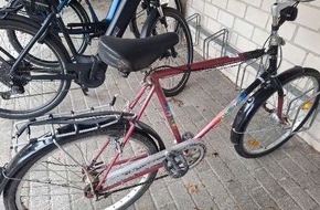 Polizeiinspektion Emsland/Grafschaft Bentheim: POL-EL: Surwold - Eigentümer/in gesucht
