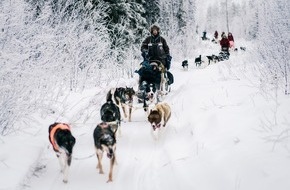 3sat: Mit Huskies unterwegs: 3sat zeigt den Schweizer Dreiteiler "Abenteuer Lappland"