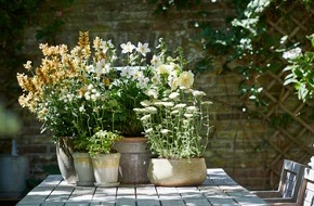 Blumenbüro: Sommer, Sonne, Pflanzen-Wonne / Drei Tipps für einen wunderbaren Sommer im eigenen Outdoor-Bereich