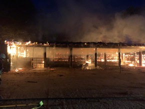 FW-RD: Ergänzung zur OTS von 5:16 Uhr Pferdestall in Osterby brennt nieder - 100 Einsatzkräfte im Einsatz