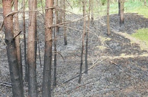 Deutsche Bundesstiftung Umwelt (DBU): DBU Naturerbe dankt Feuerwehren für Einsatz