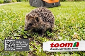 toom Baumarkt GmbH: Stachelige Untermieter: Igelschutz im eigenen Garten / toom informiert zum verantwortungsvollen Umgang mit M&auml;hrobotern
