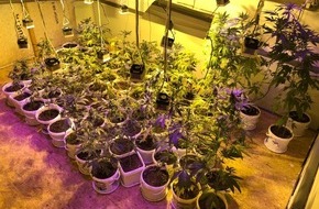 Polizeiinspektion Lüneburg/Lüchow-Dannenberg/Uelzen: POL-LG: ++ "Zufallsfund" - Indoor-Plantage in Wohnhaus ++ Lob an aufmerksame Bankmitarbeiter - "Enkeltrick-Betrüger" Jugendliche stecken Mülltonnen an ++ Minibagger gestohlen ++