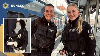 Bundespolizeidirektion München: Bundespolizeidirektion München: Einsatz wegen eines Fundhundes / Zusammenführung geglückt