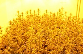 Polizeipräsidium Südhessen: POL-DA: Bürstadt/Lingenfeld (Rheinland-Pfalz): Kripo beschlagnahmt über 800 Marihuanapflanzen und rund 10 Kilo Marihuana/Drei Tatverdächtige in Haft