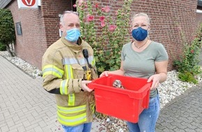 Freiwillige Feuerwehr Bedburg-Hau: FW-KLE: Feuerwehr rettet verletzten Bussard