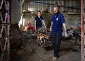 Dix millions de chiens et de chats sont abattus chaque année en Asie du Sud-Est